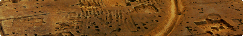 u]